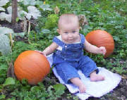 macpumpkins1.jpg
