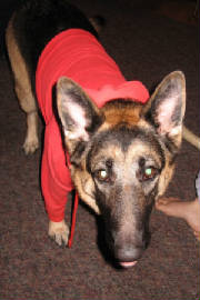 ravinredridinghood.jpg