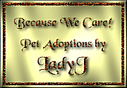 adopt_logo.gif