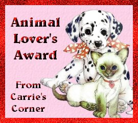 award10a.jpg