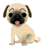 cutedog.gif