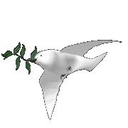 dove-peace.gif