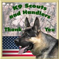 k9scout3.jpg
