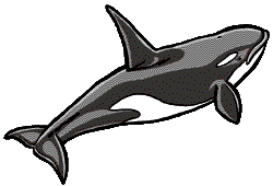 orca.gif