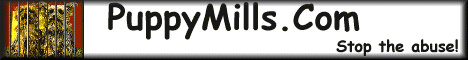 pupbanner.gif